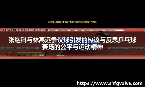 张继科与林高远争议球引发的热议与反思乒乓球赛场的公平与运动精神